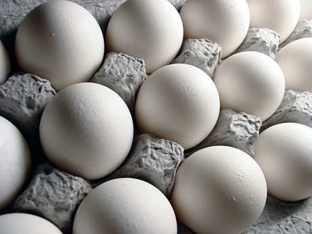 تخم مرغ وارداتی در راه است، گران نخرید