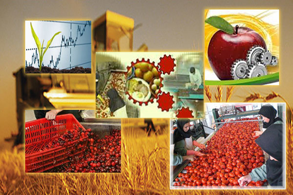 ضرورت توسعه صنایع تبدیلی در بخش کشاورزی خوزستان