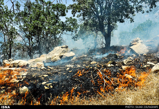 چهار هکتار از جنگل‌های بلوط باغملک در آتش سوخت