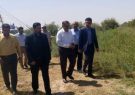بازدید مدیرعامل سازمان آب و برق خوزستان از ایستگاه هیدرومتری حرمله و سد انحرافی دز